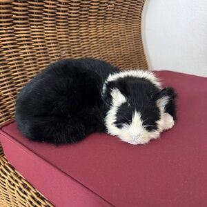 CAT, you never have to feed!